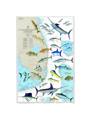 Fish Map sticker