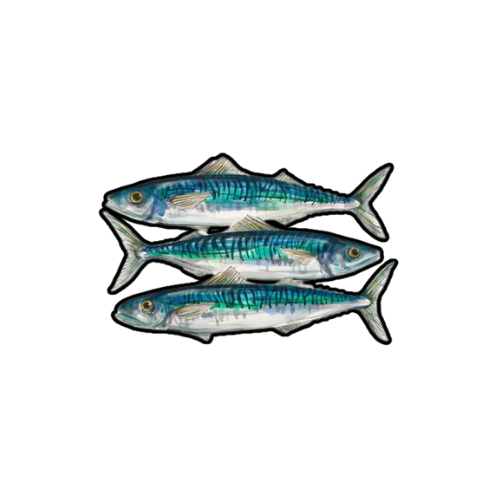 trio fish sticker