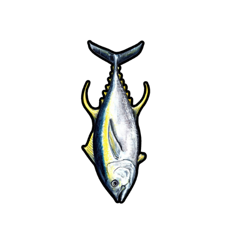 fish sticker