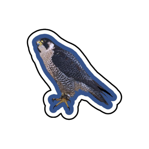 falcon sticker 01