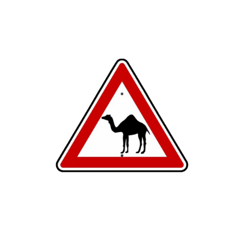 camel crossing sticker